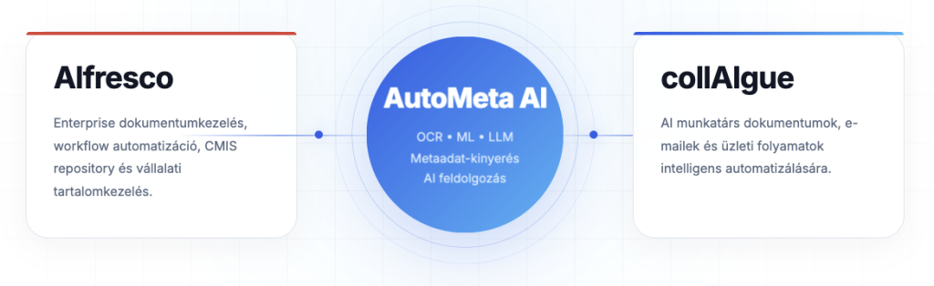 Alfresco AutoMeta collAIgue